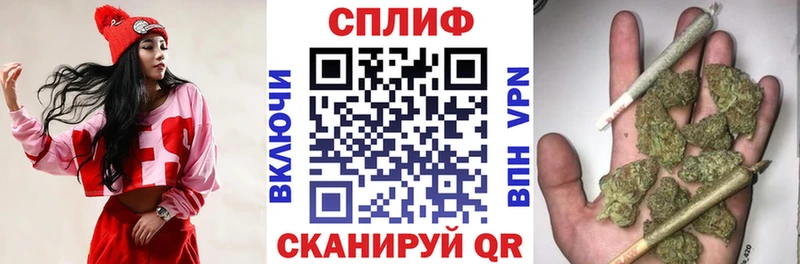 Бошки Шишки сатива Балей